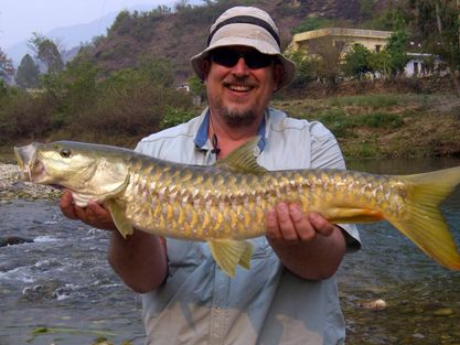 Golden Mahseer In India